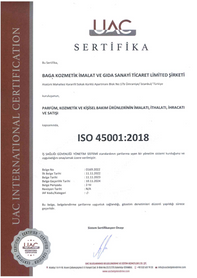 ISO 45001:2018
