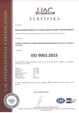 ISO 9001:2015